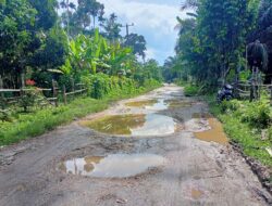 Kabar Gembira, Jalan Simpang Tanjung Sari Dan Tuo Ilir Akan Segera Di Kerjakan 