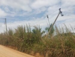 Waduh, Tiang Listrik PLN ULP Muaro Tebo Nyaris Roboh