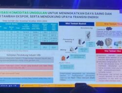 Industri Sudah Dilakukan PT Timah Sejak 1998, Airlangga: Hilirisasi Menjadi Kunci