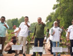 Peringati Hari Mangrove Sedunia