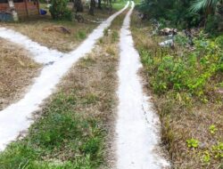 Dilalui Mobil Bermuatan Kayu Melebihi Kapasitas : Jalan Setapak Desa Ture Hancur