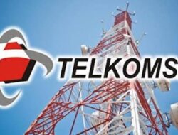 Listrik Padam, Sinyal Hilang, PT. Telkomsel Diminta Optimalkan Peran Petugas Charge Baterai BTS di Wilayah Kecamatan Tebo Ilir