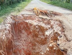 Jembatan Pulau Betung Kian Hari Kian Memprihatinkan Dinas PUTR Batanghari Memilih Bungkam