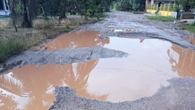 Dilalui Truk Pengangkut Pasir Dan Sawit Jalan Desa Pulau Betung Bak Genangan Kerbau